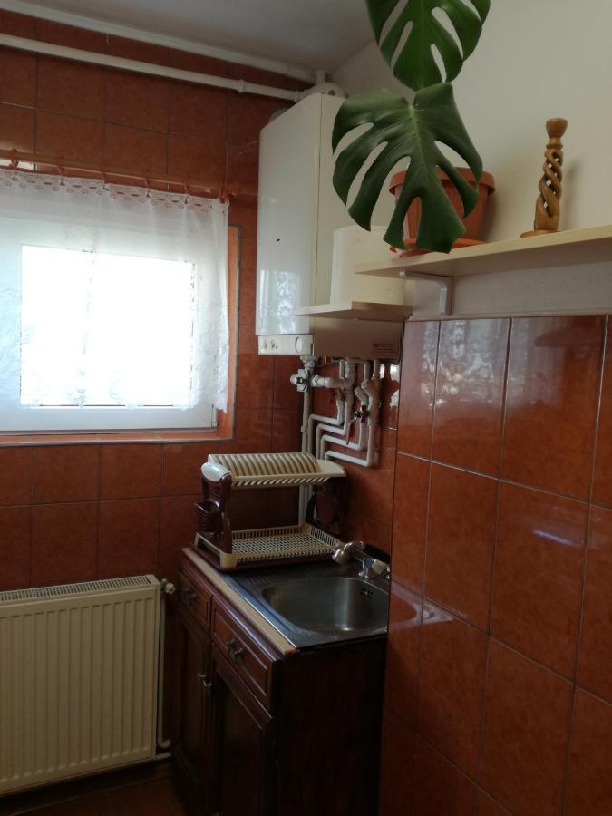 Sara Apartman Târgu-Mureş Exteriér fotografie
